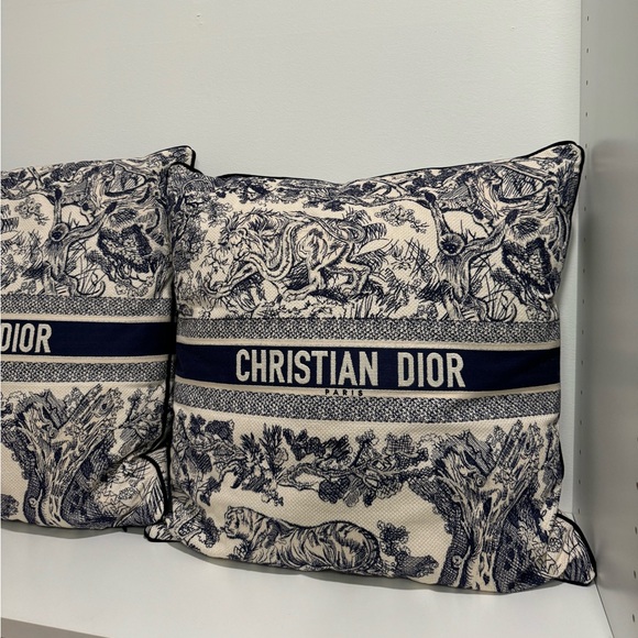 Dior Pillow (s) - Picture 1 of 8